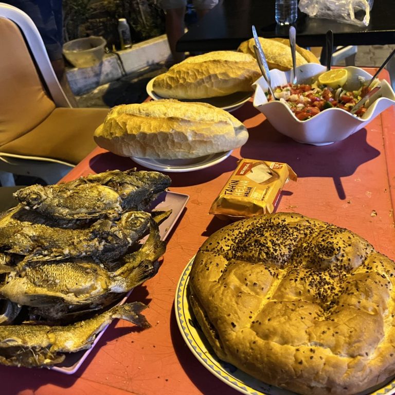 Spearfishing foraging freediving holiday course Turkey barbq