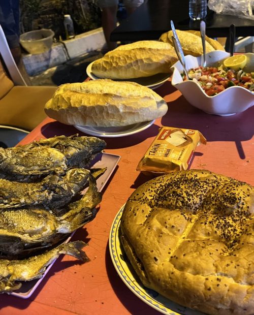 Spearfishing foraging freediving holiday course Turkey barbq