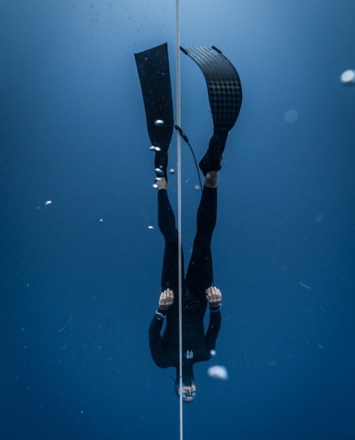 Delphy Pool Freediving logo
